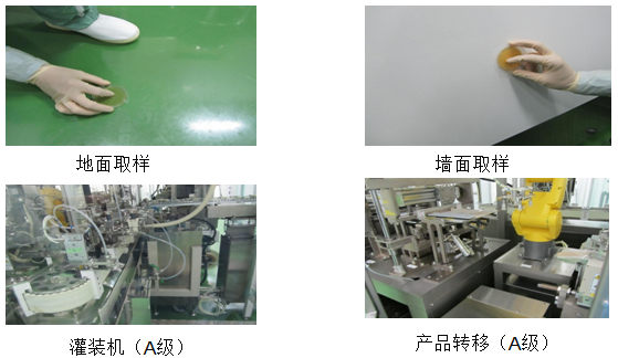 表面微生物檢測 表面微生物檢測
