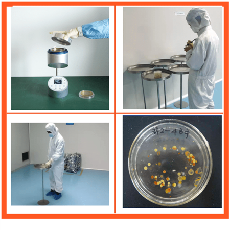 潔凈度檢測-沉降菌